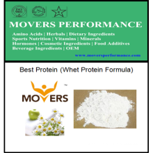 Best Seller Bodybuilding Protein Whey Protein Formula